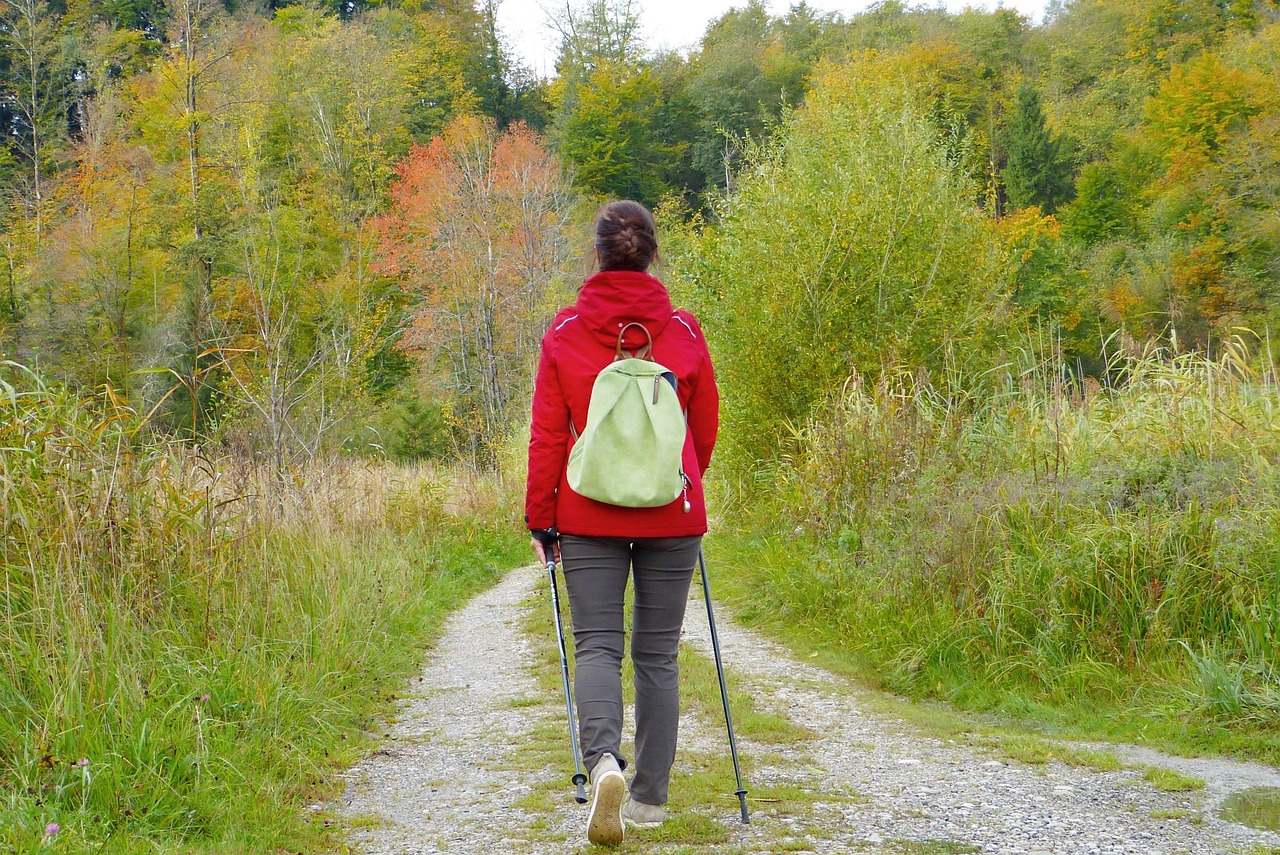 woman, girl, walken, to go for a walk, backpack, outdoors, nature, forest, meadow, fall, fresh air, burnout, depression, heal, move, prevent, immune system, flu, cold, virus, menopause, female, human, pleasure, leisure time, hike, quiet, silence, inner center, relax, time out, happy, satisfaction, mindfulness, alone, lonely, the joy of living healthy, walken, fresh air, immune system, menopause, menopause, menopause, menopause, menopause